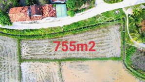 ngang bám đường bê tông 55m. full thổ cư. phân lô bao đẹp. giá sỉ rẻ nhất khu vực. 