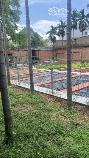 tìm chủ nhân - hữu duyên cho căn biệt thự + kho xuong - tại phường dĩ an - tp hồ chí minh