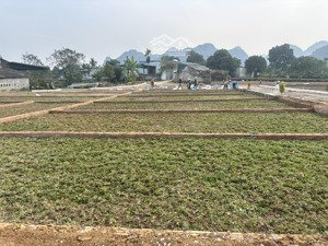 siêu hot 3xx tr sở hữu ngay 1 lô đất 2 mặt đường tại lạc thủy