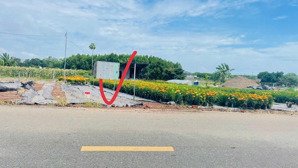 bán đất đường nhựa tiềm năng tăng mạnh xã đất đỏ - tphcm. giá 950tr khu dân cư gần biển và kcn