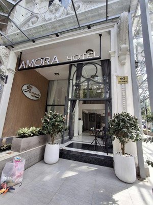 chào mừng đến với amora hotel phú mỹ hưng, quận 7