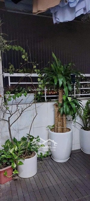 căn 3p, 110m2 c/c harmona,trương công định, tb giá 15.5tr/th, nội thất.