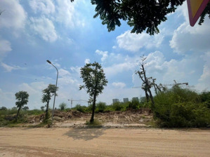 cho thuê 10.000m đất phố việt hưng vỉa hè ô tô tránh sát big c long biên- làm sân pick, sân bóng...