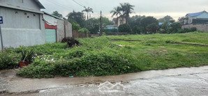 bán đất tại xã minh phú, sóc sơn, hà nội, 2,75 tỷ, 130 m2