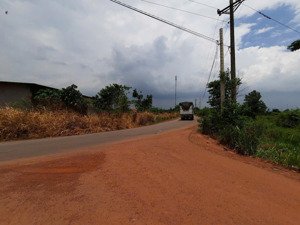 chính chủ cần sang 4.769m2 đất cây lâu năm tại xã cây gáo, huyện trảng bom (cũ)