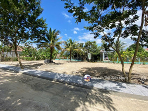 250 triệu sở hữu lô đất cạnh ql1a cam lâm (siêu hiếm)