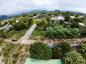 cắt lỗ 100 tr diên lâm (thôn 1 - diên đồng cũ) cao ráo ko ngập lụt bao giờ