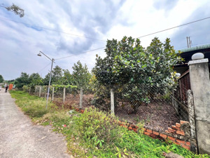 bán đất 168m2 giá cực chất, hàng hiếm tại minh thạnh, dầu tiếng, bình dương