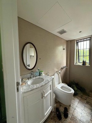 cần bán nhà mặt phố trục chính parkriver ecopark