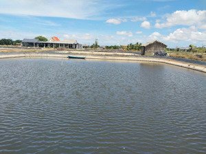 bán đất vuông công nghiệp siêu đẹp. mỹ an - thạnh phú - bến tre