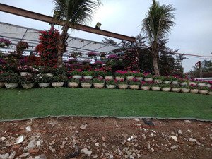 bán gấp nhà mp nhật chiêu, dt 230mx2t, mt 12m- sát sen hồ tây + thung lũng hoa hồ tây, giá 98 tỷ