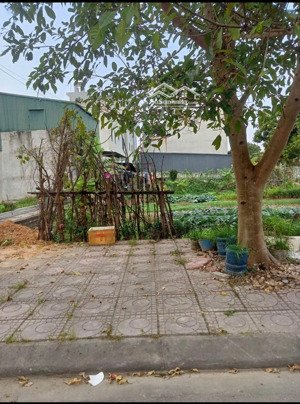 đất giãn dân liên bão, từ sơn giá nhỉnh 4tỷ