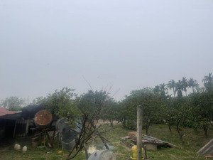 tôi chính chủ cần bán lô đất trang trại. cấn hữu quốc oai hà nội. 3087m2 sẵn 200m2 nhà ở, vườn cây.