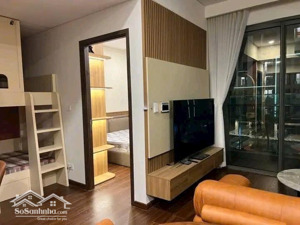 chính chủ cần bán gấp căn 1pn + 1 masteries m2 vinhomes căn đẹp full nội thất