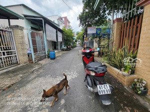 bán nhà cấp 4 ngay mặt tiền lái thiêu 49, thuận an, bd