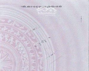 hàng kịch độc - bay nhanh - trung tâm hà đông - 57m2 đất tại bà triệu - ngõ ô tô - giá kịch sàn