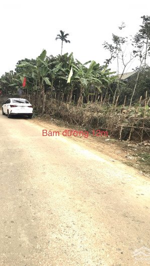 chủ cần tiền gửi bán lô đất tại xã cao phong