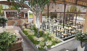 diện tích khủng! mặt bằng phạm ngọc thạch 420m2 mặt tiền 10m. có sân vườn. giá chỉ 70tr