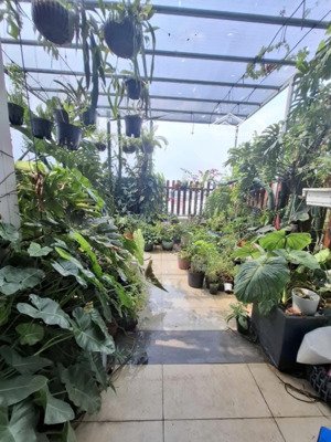 miễn trung gian - căn hộ góc- sân vường riêng 92m2 luxgarden q7, 4,2 tỷ vnd