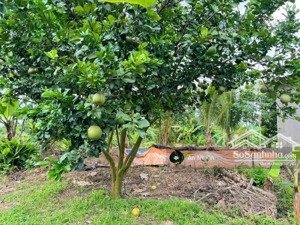 chủ hạ giá bán gấp đất vườn định quán gần sông la ngà giá chỉ 390triệu/1000m² cơ hội đầu tư siêu rẻ