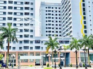 bán gấp ch fresca riverside 2,44 tỷ, 60m2 ở thủ đức, hcm