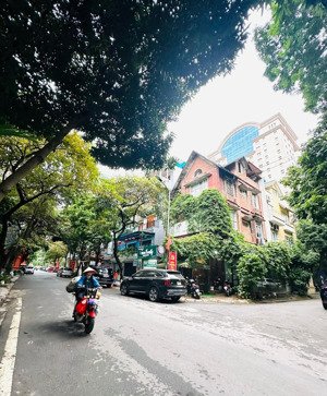 biệt thự đẳng cấp, lô góc - kinh doanh - hàng kiếm - view vườn hoa