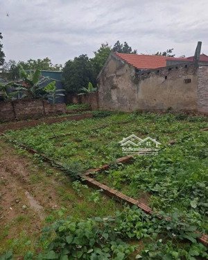 bán đất thôn 1 vạn phúc ngõ thông giá chỉ 2.5tỷ diện tích: 40 m vuông vắn, sổ đỏ chính ch