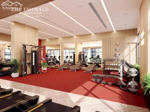 EMERALD GARDEN VIEW Tiêu chuẩn song màu xanh ở giữa trái tim Thuận An Bình Dương chỉ 35tr/m2