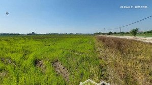 đất ruộng 1500m2, mt 40m, 310 tr/ sào