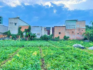 lô đất vàng để đầu tư sinh lời tại xã đông thạnh mới, sát chợ gấu, nhà thờ tân đông, giáp quận 12