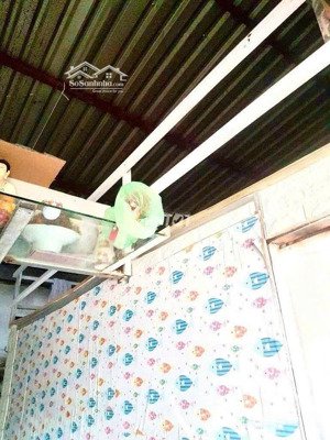 phòng trọ tại 19 thái thị nhạn, phường 10, quận tân bình