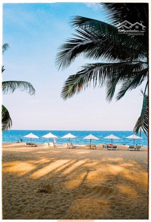 bán nhà mặt tiền đường hùng vương nha trang ngay phố tây sầm uất