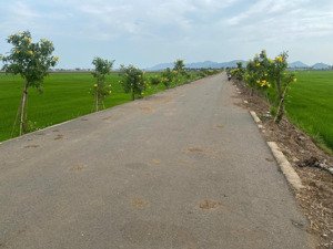 599triệu sở hữu ngay lô đất 500m2 ngay hồ bà thành, tuyến tránh quốc lộ 55. ngang 15m x 37. đất lúa