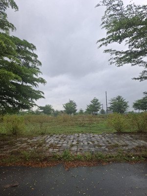 sụp hầm! ngang 6m dài 20. trục 17.5.thông sông. đối diện công viên. tại kđt sentosa. 2.8 tỷ (lvcc)