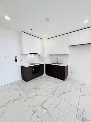 cho thuê căn hộ sunshine sky city diện tích 70m2. 2pn. 2wc