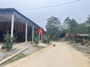 bán đất 1000m2 tại suối hoa, tân lạc, hòa bình, giá 1 tỷ