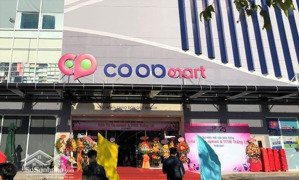 đất thổ cư 115m2 đ. liêu bình hương - tân thông hội củ chi, giá 850tr sổ hồng riêng dân cư đông đúc