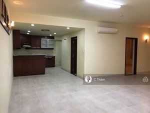 cho thuê căn hộ hùng vương plaza, dt 130m2, 3pn, 3wc, nhà trống, giá 19tr/th. lh 