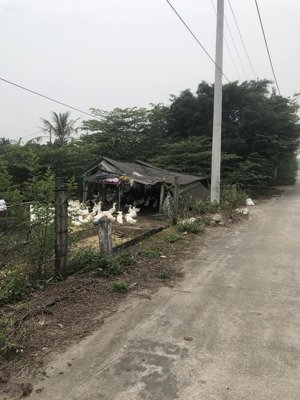 bán trang trại, khu nghỉ dưỡng đẹp tại hồng thái, phú xuyên, hà nội 4,5 tỷ, 7500 m2