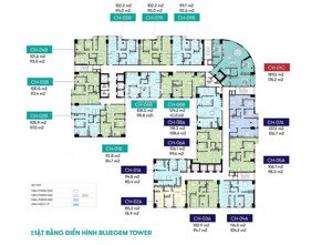nhỉnh 60tr/m2 tuyệt chủng tại thanh trì, nh hỗ trợ 65% gtch, miễn trả gốc 24t, tặng 2 chỉ vàng