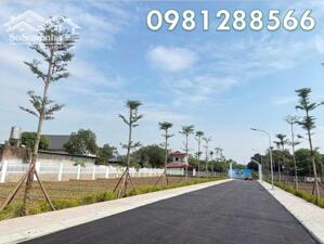 ⭐️Chỉ còn 18 lô đất giá F0 tại khu dự án Phú Ninh - Valley - Sổ đỏ từng lô tại xã Kim Anh, Hà Nội, 0981288566