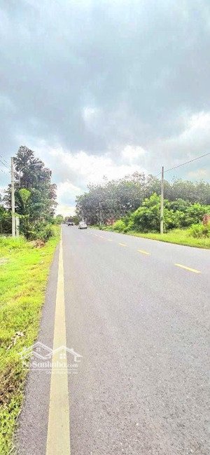 mt tỉnh lộ 15 15x53m ~ 800m2 300m2 thổ cư chỉ 9 tỷ!