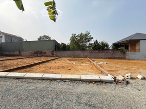 bán 436m² (320m² thổ cư) bạch thạch, phú cát, đường ô tô, view cánh đồng đẹp