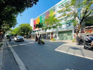 mặt phố nguyễn thái học, cực hiếm- mặt tiền 4,7m - dt 50m2 cần bán gấp