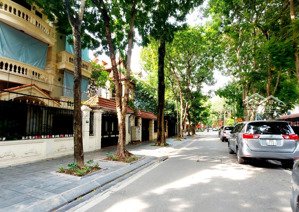 bán 5 căn liền kề, biệt thự kđt định công, giá từ 25 tỷ