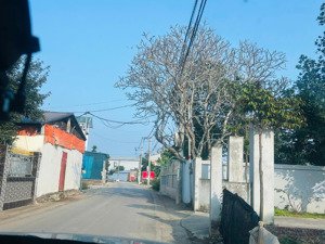 đất đẹp phú cát 125m2, giá mềm cho nđt