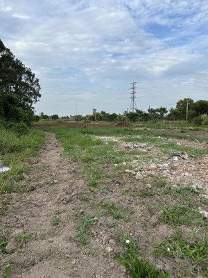 đất 5x25m khu phố thọ phú 1, phường long an, tỉnh tây ninh (tp tân an cũ)