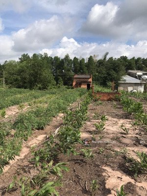 chính chủ kẹt tiền bán gấp đất ven biểnđườngql55-gần hồ tràmhồ cóc sát bên suối nước nóng bình châu