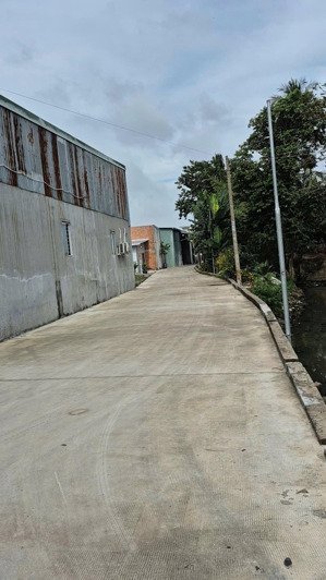 bán đất đường đê bao sông sài gòn vào 2 sẹc gần sông mát mẻ