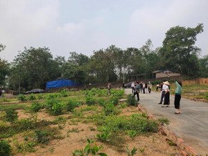 lô đất tại kcn tam dương vĩnh phúc